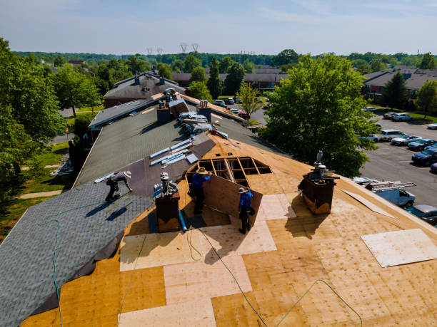 Best Storm Damage Roof Repair  in Rainbow Lakes Estates, FL