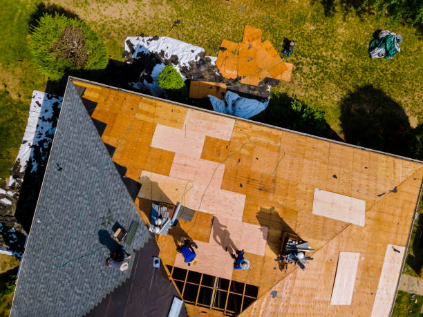 Professional Roofing Contractor in Rainbow Lakes Estates, FL