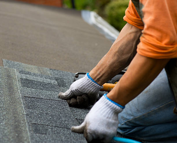 Roof Gutter Cleaning in Rainbow Lakes Estates, FL