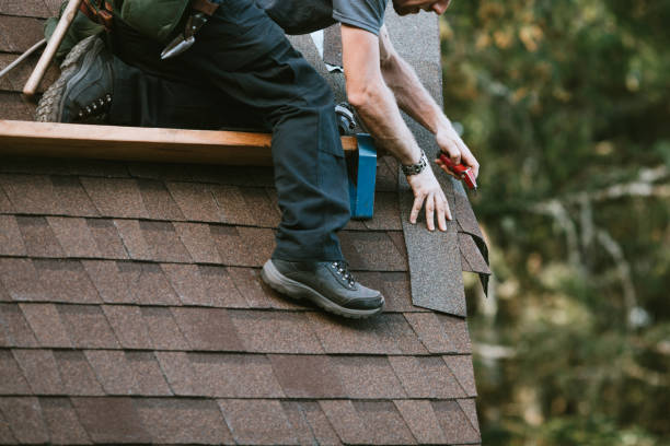 Best Roof Gutter Cleaning  in Rainbow Lakes Estates, FL
